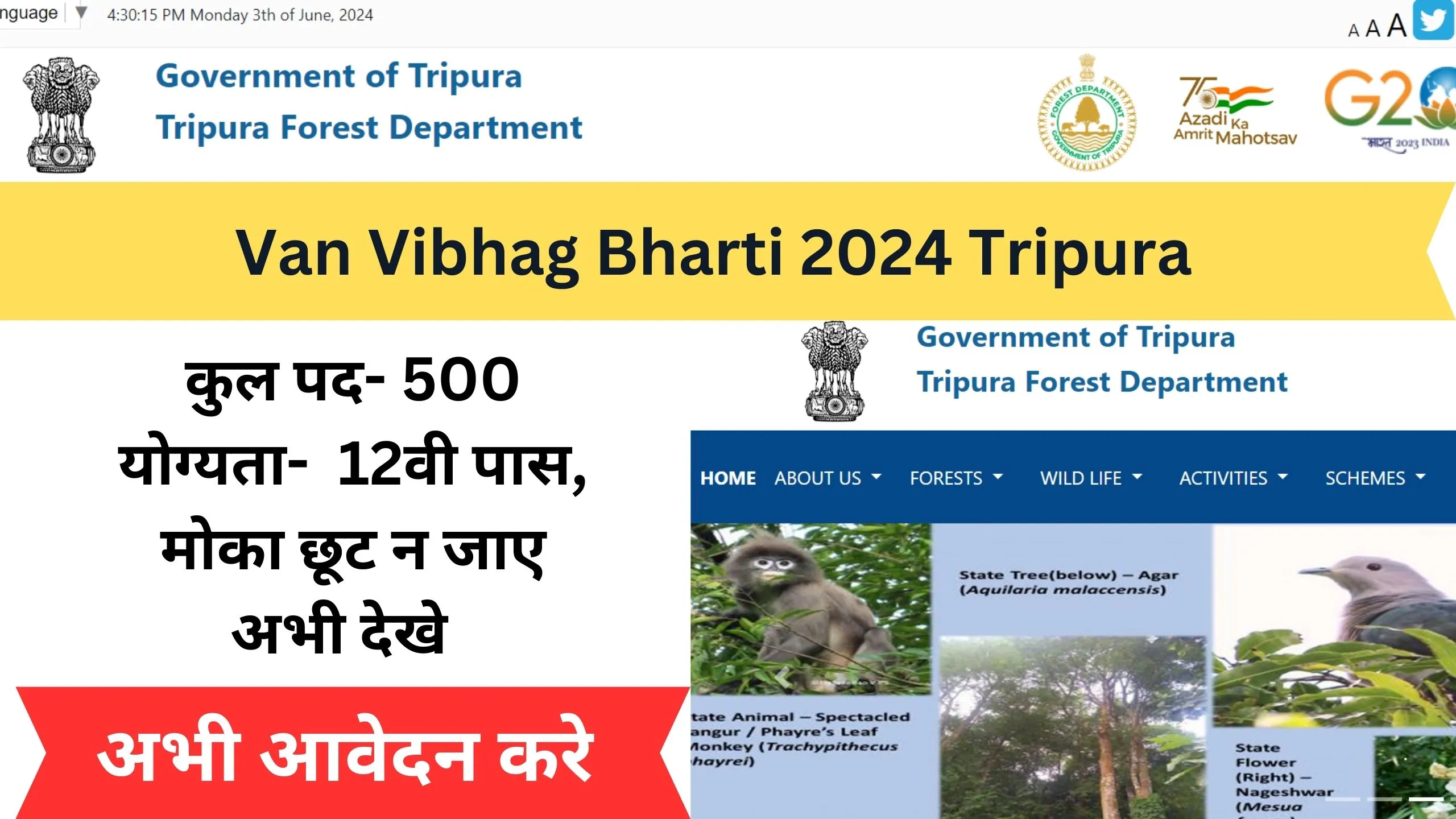 Van Vibhag Bharti 2024 Tripura cover image